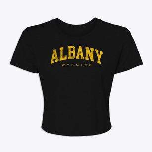 Albany Wyoming Urban Vibe Women's Crop Top