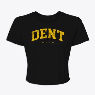 Dent Ohio Urban Vibe Women's Crop Top