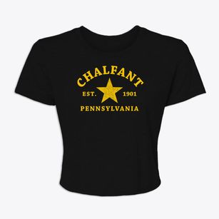 Chalfant Pennsylvania Star Women's Crop Top