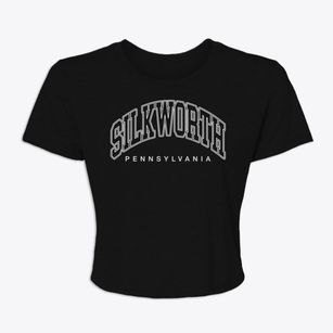 Silkworth Pennsylvania Inline Women's Crop Top