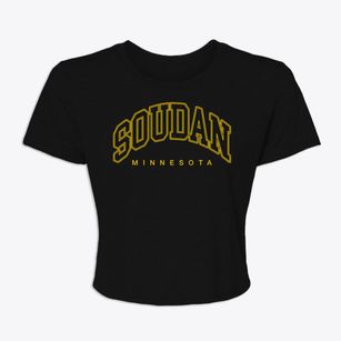 Soudan Minnesota Inline Women's Crop Top