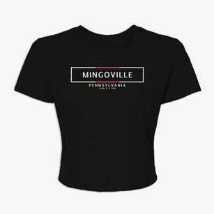 Mingoville Pennsylvania Artbox Women's Crop Top