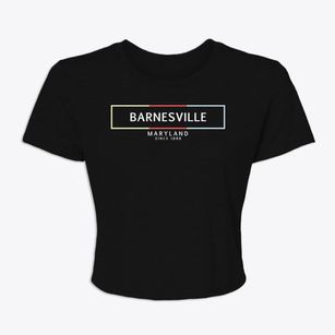 Barnesville Maryland Artbox Women's Crop Top