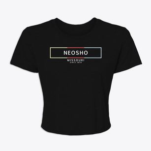 Neosho Missouri Artbox Women's Crop Top