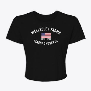 Wellesley Farms Massachusetts Patriot Women's Crop Top