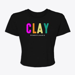 Clay Pennsylvania Color Pop Women's Crop Top