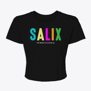 Salix Pennsylvania Color Pop Women's Crop Top