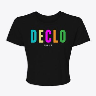Declo Idaho Color Pop Women's Crop Top