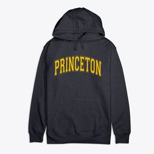 Princeton Wisconsin Varsity Premium Cotton Hoodie