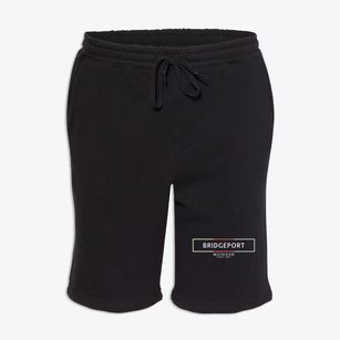 Bridgeport Michigan Artbox Fleece Shorts