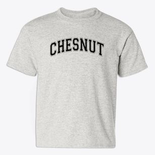 Chesnut Elementary School Varsity Arch Youth T-shirt