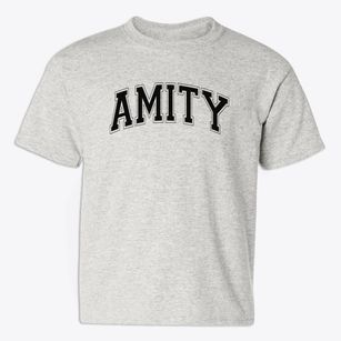 Amity Elementary School Varsity Arch Youth T-shirt