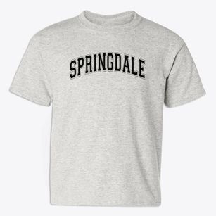 Springdale Elementary School Varsity Arch Youth T-shirt