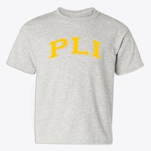 Professional Learning Institute Varsity Arch Youth T-shirt