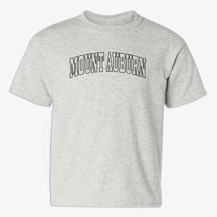 Mount Auburn Iowa Trendy Block Youth T-shirt