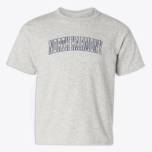 North Harmony New York Trendy Block Youth T-shirt