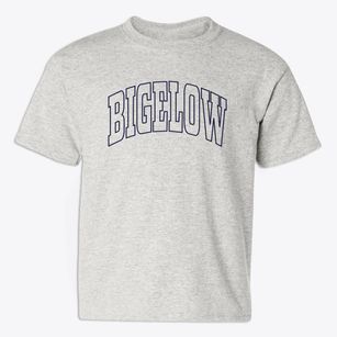 Bigelow Missouri Trendy Block Youth T-shirt