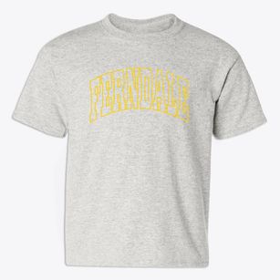 Ferndale Florida Trendy Block Youth T-shirt