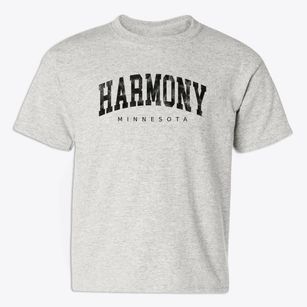 Harmony Minnesota Urban Vibe Youth T-shirt