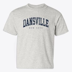 Dansville New York Urban Vibe Youth T-shirt
