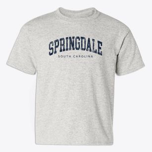 Springdale South Carolina Urban Vibe Youth T-shirt
