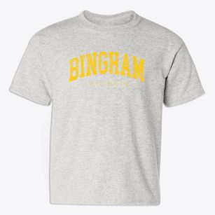 Bingham Illinois Urban Vibe Youth T-shirt