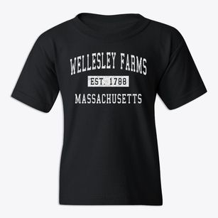 Wellesley Farms Massachusetts Classic Established Youth T-shirt