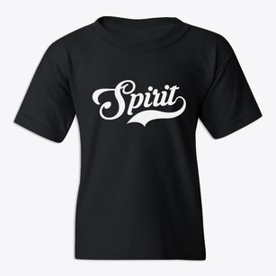 Spirit Wisconsin Vintage Team Youth T-shirt