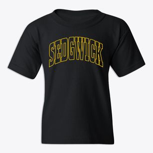 Sedgwick Kansas Trendy Block Youth T-shirt