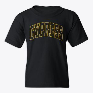 Cypress Illinois Trendy Block Youth T-shirt