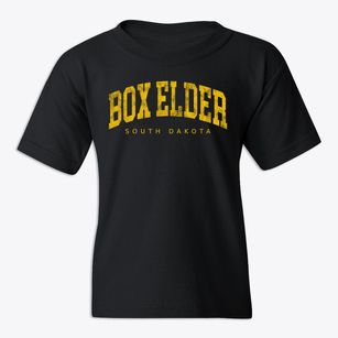 Box Elder South Dakota Urban Vibe Youth T-shirt