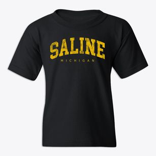 Saline Michigan Urban Vibe Youth T-shirt