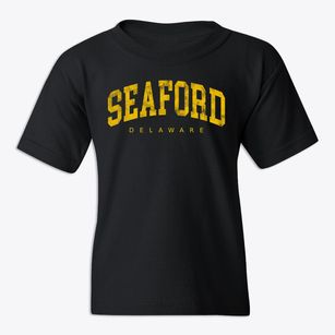 Seaford Delaware Urban Vibe Youth T-shirt