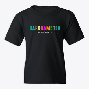 Barkhamsted Connecticut Color Pop Youth T-shirt