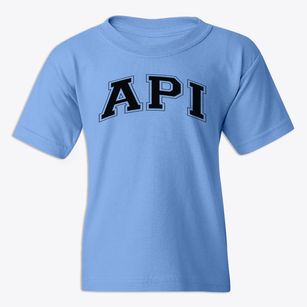 Advanced Preparatory International Varsity Arch Youth T-shirt