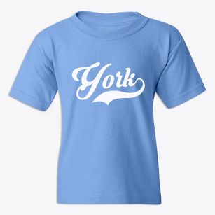 York South Carolina Vintage Team Youth T-shirt
