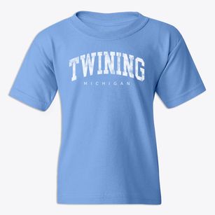Twining Michigan Urban Vibe Youth T-shirt
