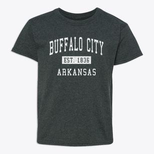Buffalo City Arkansas Classic Established Youth T-shirt