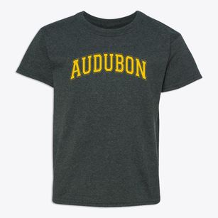 Audubon Middle School Varsity Arch Youth T-shirt