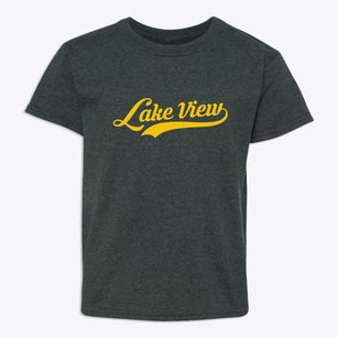 Lake View Arkansas Vintage Team Youth T-shirt