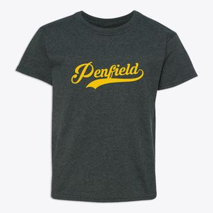 Penfield Illinois Vintage Team Youth T-shirt