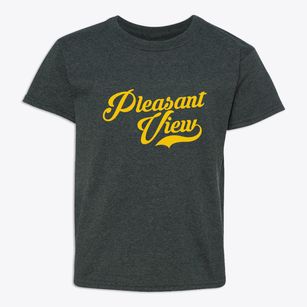 Pleasant View Utah Vintage Team Youth T-shirt