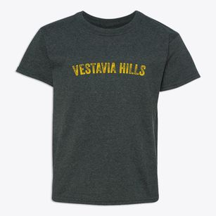 Vestavia Hills Alabama Timeless Retro Youth T-shirt