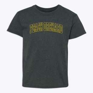 Peach Orchard Arkansas Trendy Block Youth T-shirt