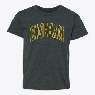 Bingham Illinois Trendy Block Youth T-shirt