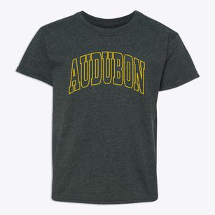 Audubon New Jersey Trendy Block Youth T-shirt