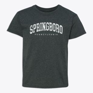 Springboro Pennsylvania Urban Vibe Youth T-shirt