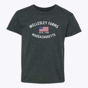 Wellesley Farms Massachusetts Patriot Youth T-shirt