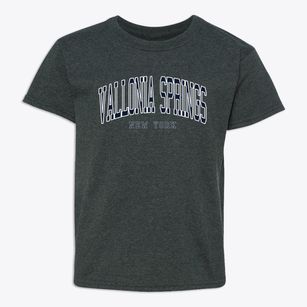 Vallonia Springs New York Traditional Youth T-shirt