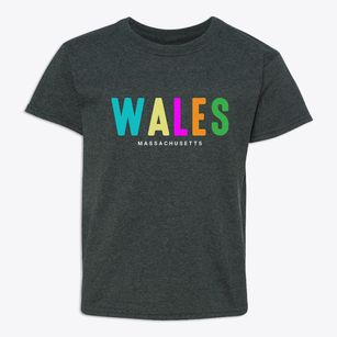 Wales Massachusetts Color Pop Youth T-shirt